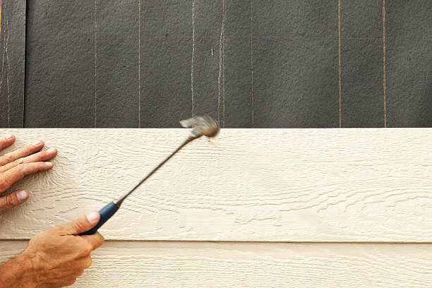 Best Steel Siding Installation  in Lewisport, KY